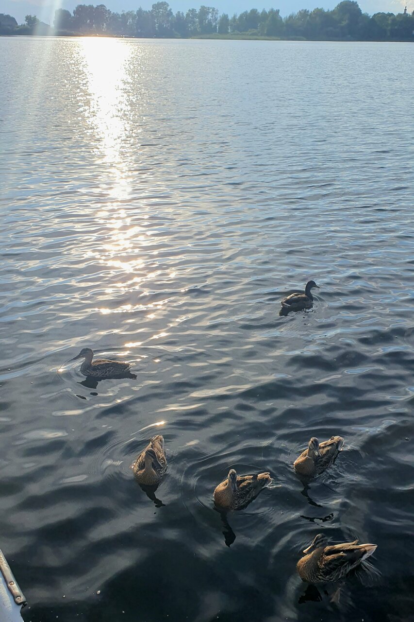 Гостиница Гостевой дом Орловская 1 Осташков-57