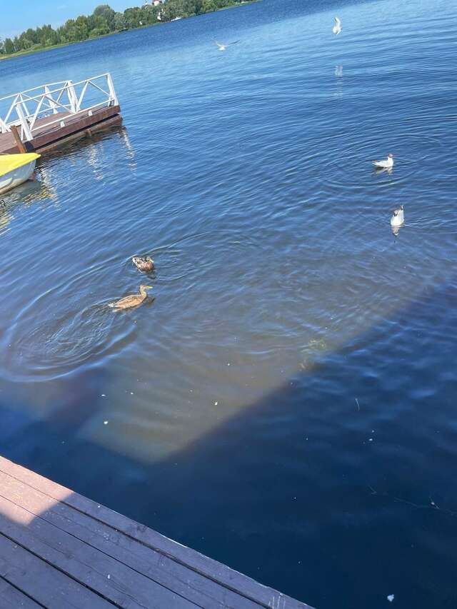 Гостиница Гостевой дом Орловская 1 Осташков-118