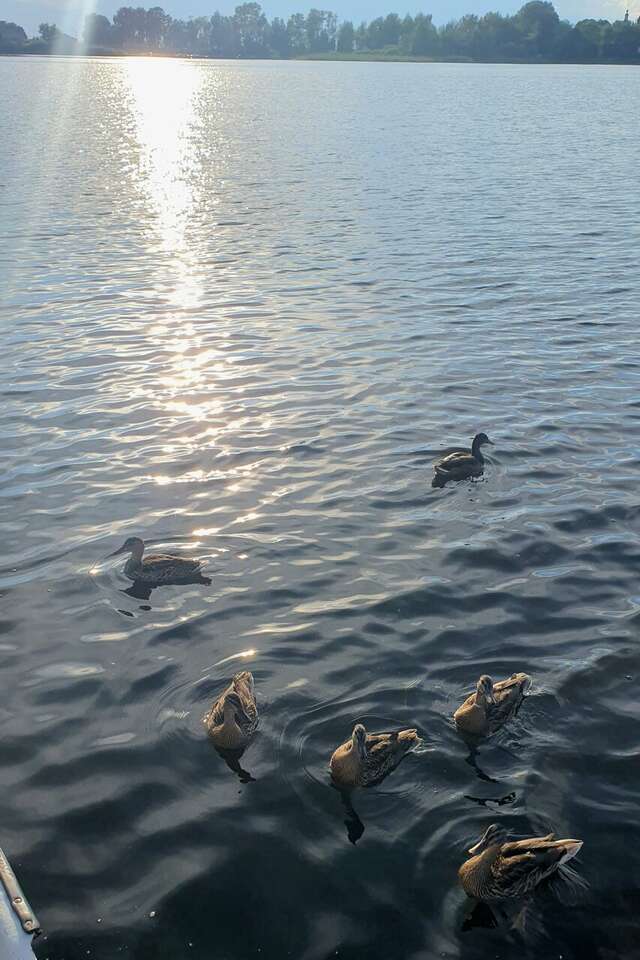 Гостиница Гостевой дом Орловская 1 Осташков-56