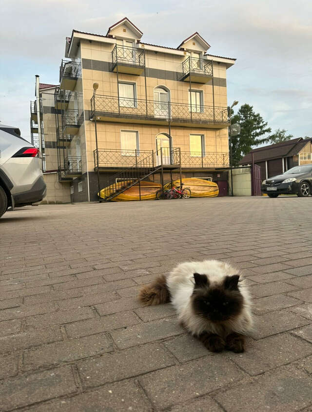 Гостиница Гостевой дом Орловская 1 Осташков-40